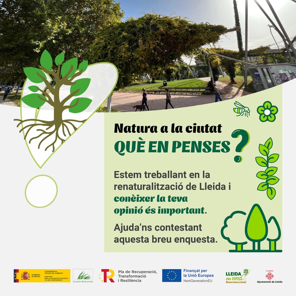 🌱Per la renaturalització de #Lleida i l’increment de la Biodiversitat, comptem amb TU🫵🏼
 
 ✅Hem preparat una enquesta per conèixer la teva opinió i fer front millor a aquest emocionant repte💪🏻
 
Enllaç per respondre-➡️acortar.link/QtydYT

#ProyectosPRTR #NextGenerationEU