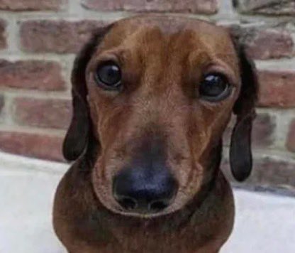 Don Beto tweet media