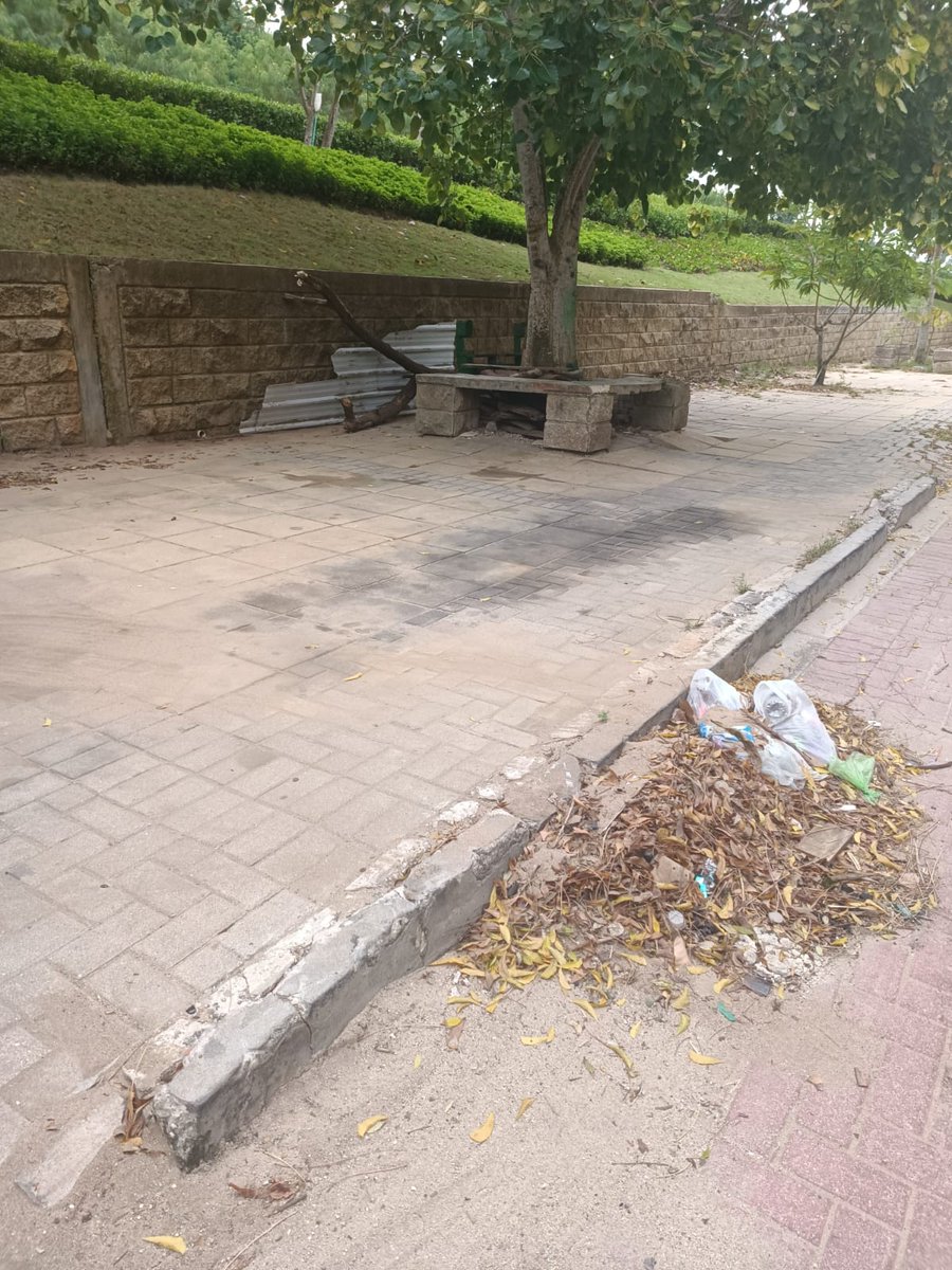 deylens's tweet photo. Muy lamentable el aspecto y situación del entorno del nuevo parque Urbano de Miramar. Conjunto Residencial Balcones del Mar.  Árboles sin podar. Botadero de basuras. Podas abandonadas. Calle destapada entre dos conjuntos convertida en basurero. @constructoramarval https://t.co/xQlxVZDnhk