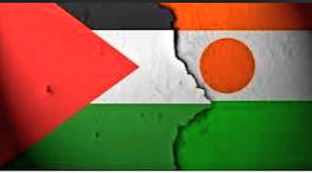 ❤️❤️Palestine 🇵🇸✊️💪💪 Niger  🇳🇪 ❤️❤️