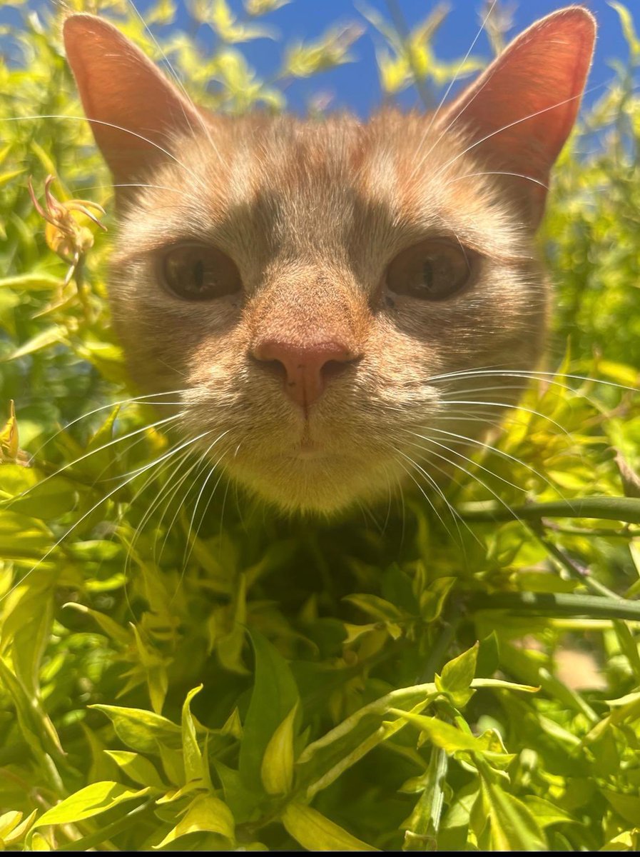 theme production tweet media