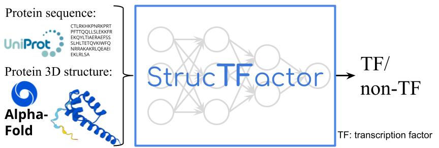 Meet StrucTFactor - our deep learning method for predicting #TranscriptionFactors using 3D structural information! It significantly enhances #TranscriptionFactor predictions outperforming existing methods by up to 17%! 

Learn more: academic.oup.com/bioinformatics…

<a href="/janbaumbach/">Jan Baumbach</a>