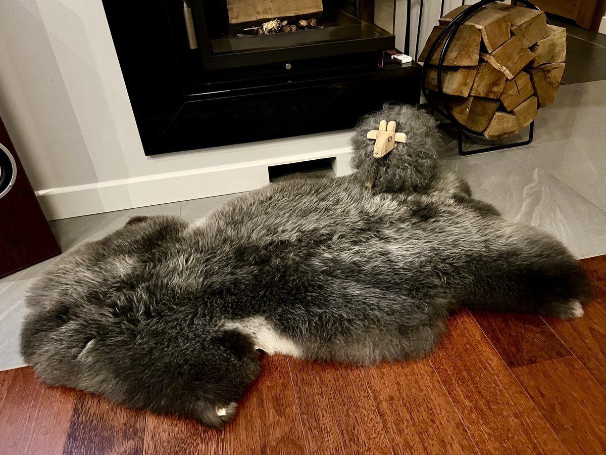 TanneryPoland's tweet image. ✨ Natural elegance for your home! ✨
Discover the exceptional Swedish sheepskin – a symbol of luxury you'll love. 
📦 Wholesale sheepskins – contact us to explore our offer!

#TanneryPoland #AdamLeather #sheepskin #swedishstyle #naturaldecor #cozyhome #luxuryinterior