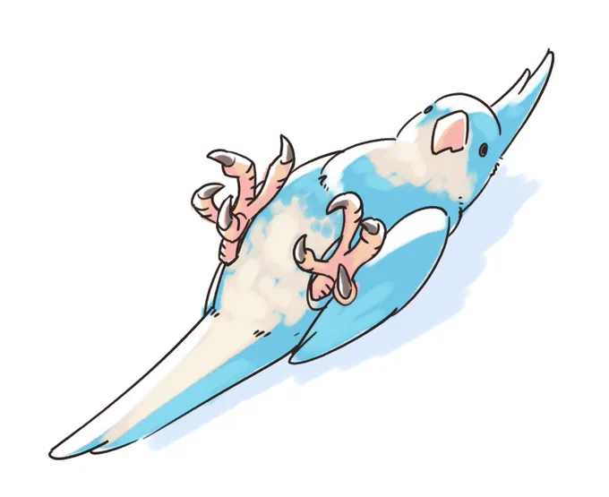 とり 