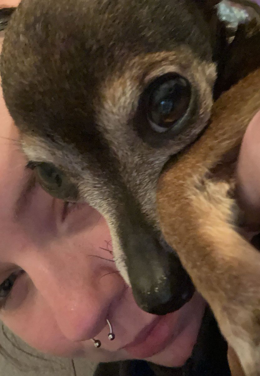 fin ! :P 🍉 tweet media