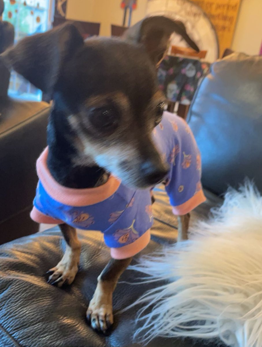 fin ! :P 🍉 tweet media