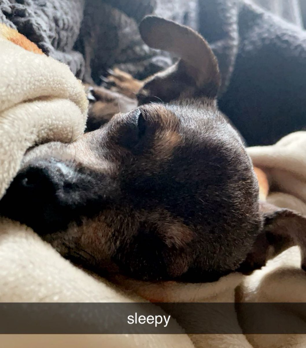 fin ! :P 🍉 tweet media