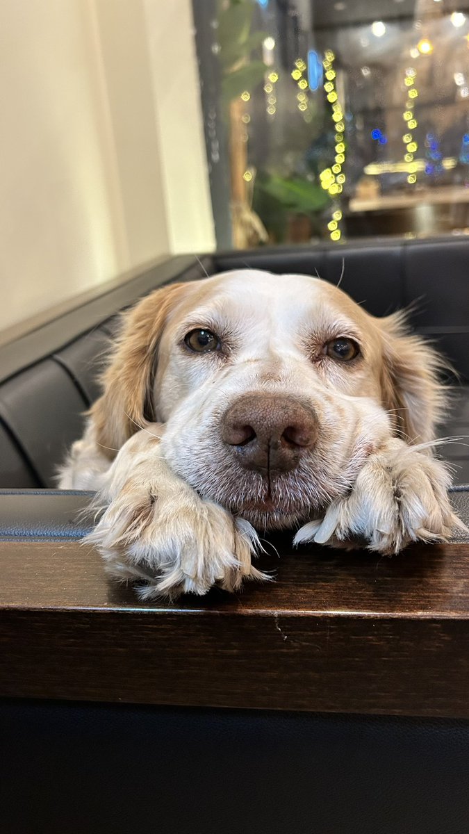 Sütlü’den herkese iyi haftalar fotisi 🤭