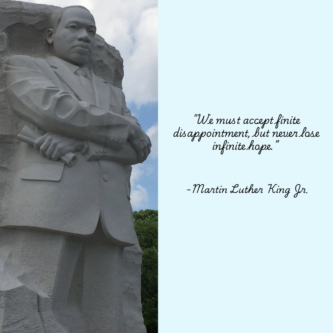 Alexis Collins tweet media