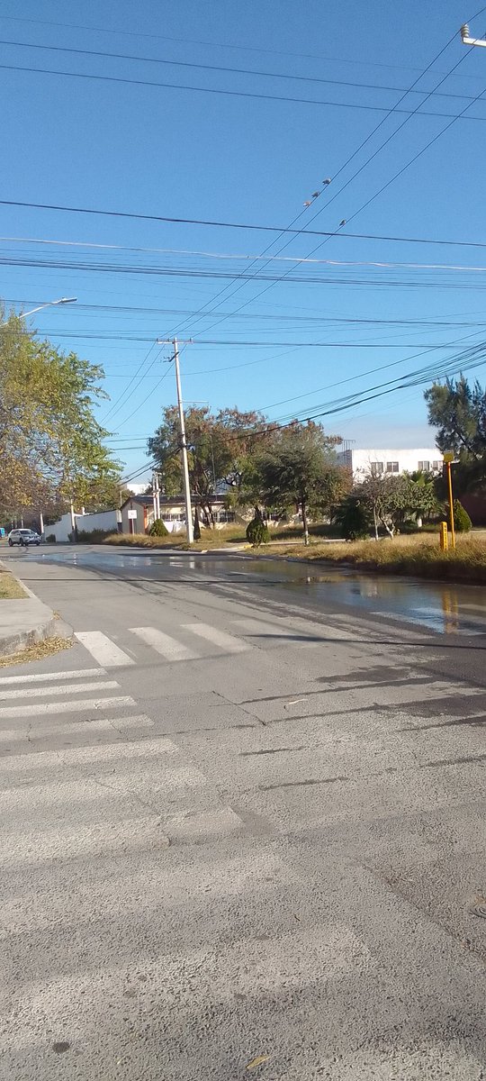 JudithTp4's tweet photo. @Cicmty fuga de gran magnitud de agua potable en Hacienda los Morales en San Nicolás.  La fuga se encuentra en calle naranjos, entre de los pinos y calle pirul. https://t.co/bKw5dSQUpG