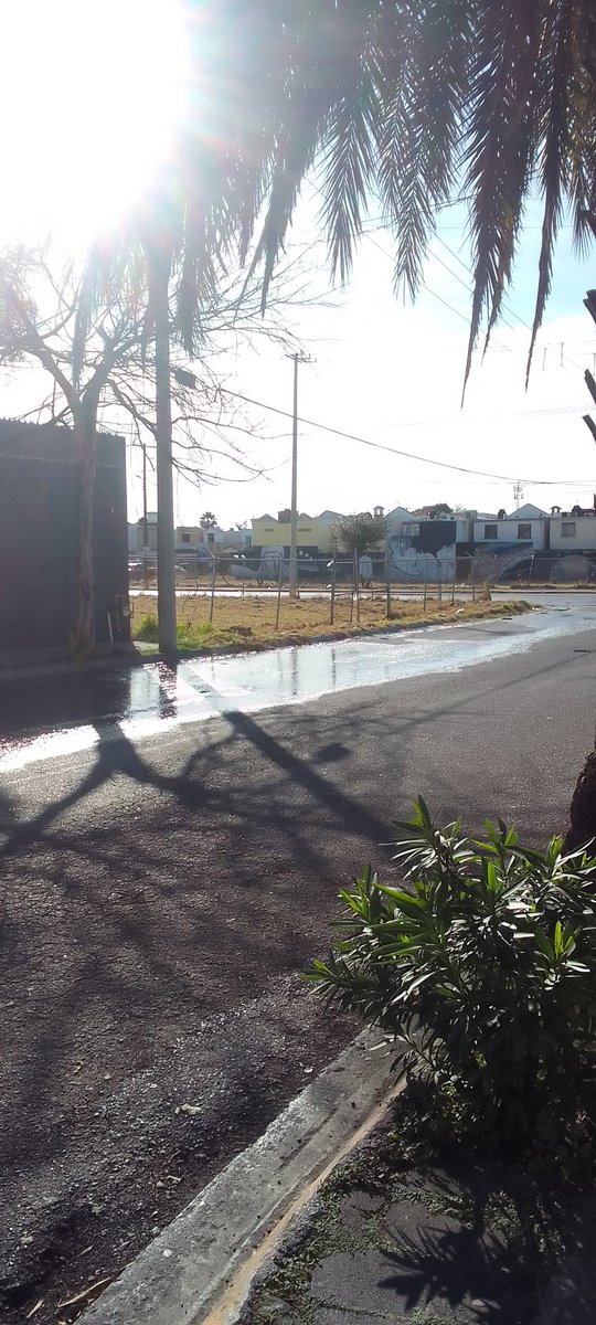 JudithTp4's tweet photo. @Cicmty fuga de gran magnitud de agua potable en Hacienda los Morales en San Nicolás.  La fuga se encuentra en calle naranjos, entre de los pinos y calle pirul. https://t.co/bKw5dSQUpG