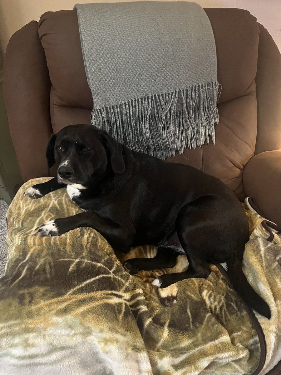 DMitchProject's tweet image. I’m in my spot, Sasha’s in hers, let’s get this president inaugurated!💪🏼💪🏼💪🏼🇺🇸🇺🇸🇺🇸