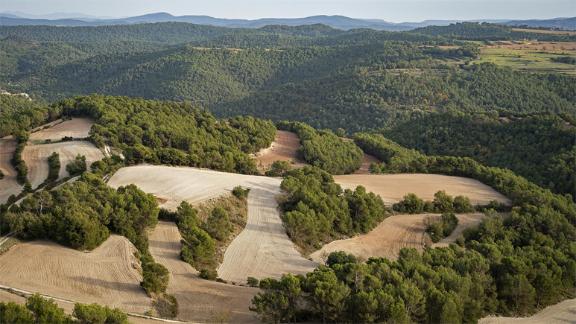 diba's tweet photo. 🚜 #Sabiesque en els darrers dos anys els bancs de terres que gestionem han crescut un 30% i ja compten amb 648 hectàrees disponibles per a activitats agrícoles i ramaderes? Creada l’any 2018, aquesta iniciativa pionera a Europa impulsa la recuperació de terres en desús i fomenta noves oportunitats per al sector primari. #BCNAgrària #som311 #ODSDiba

✅️https://t.co/IO7BZJop4j