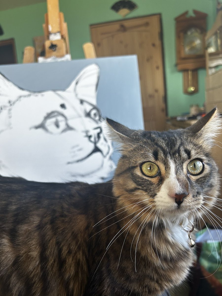 PrinceFinn23038's tweet photo. The art &amp; the muse

#Cat #CatsOfTwitter #CatsOfX https://t.co/1VHaWunEpc