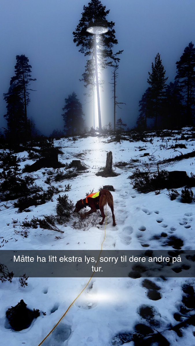 Andersfolken's tweet photo. https://t.co/nLoqX4vAuR
