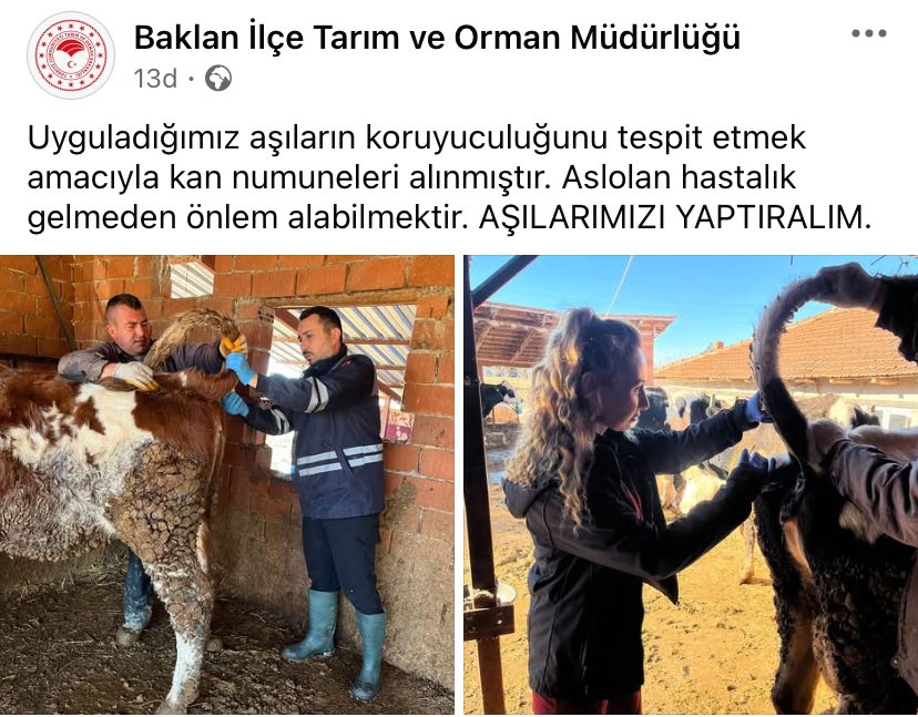 Dr. Mustafa MERCAN (@_mercan_m) on Twitter photo 