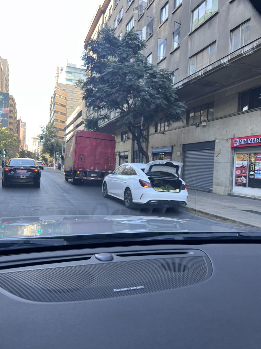 Todos los días camiones descargando en las horas peak en Teatinos entre Mapocho y santo Domingo.
<a href="/Emol/">Emol.com</a> 
<a href="/SantiagoCiudad_/">Santiago Ciudad Municipalidad de la capital</a>
