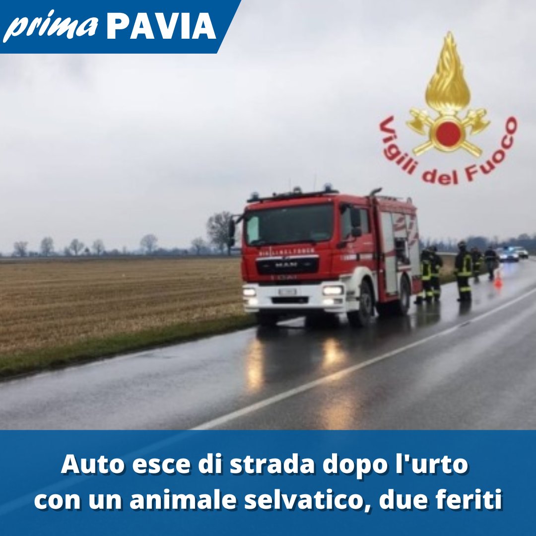 PrimaPavia's tweet image. LEGGI QUI: primapavia.it/cronaca/auto-e…
#IncidenteStradale #AnimaleSelvatico #Belgioioso #AutoFuoriStrada #Cronaca #Notizie #News #ProvinciaDiPavia #Soccorsi #Feriti