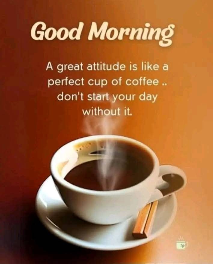 Mahnoor Fatima tweet media