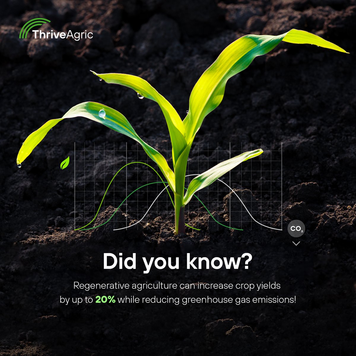 Did you know? 

Regenerative agriculture boosts crop yields by up to 20% and cuts greenhouse gas emissions, creating a win-win for farmers and the planet. 

Check out our latest blog on how we're enabling climate-smart practices for our farmers. 
Click the link in our below.
