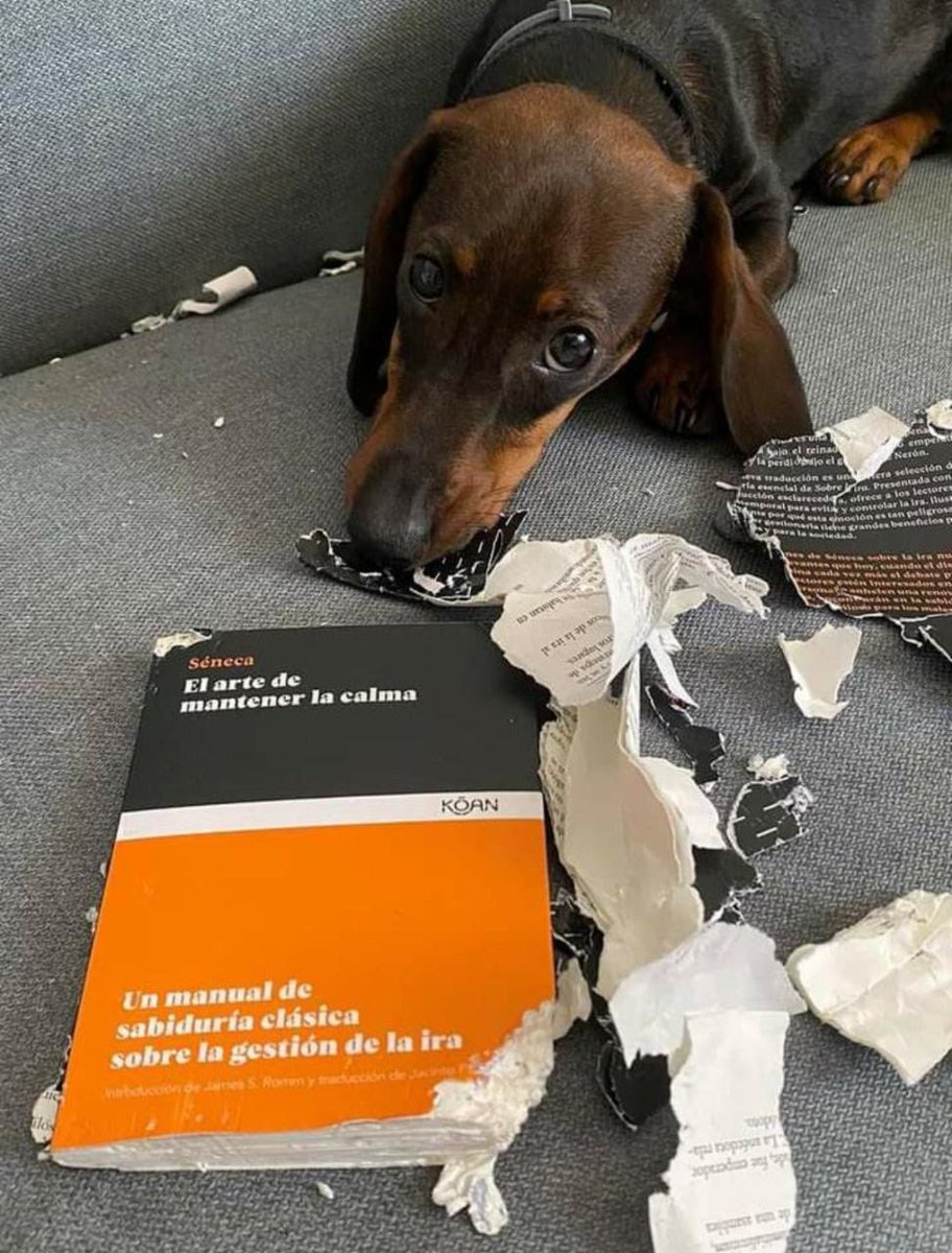 "A arte de manter a calma"