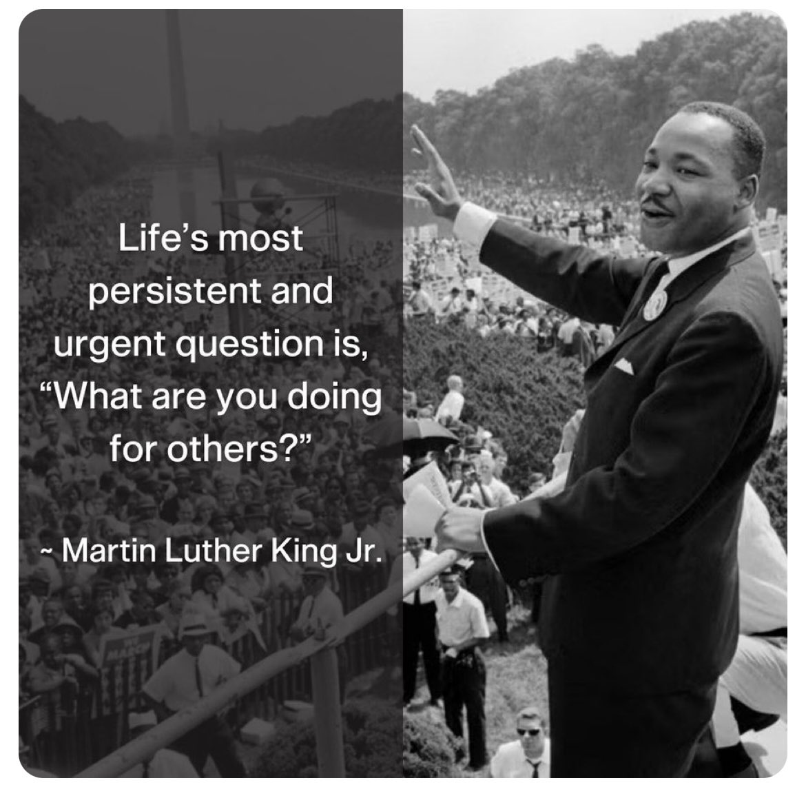 CariO4411's tweet photo. #MLKDay https://t.co/RJXyItf7xU