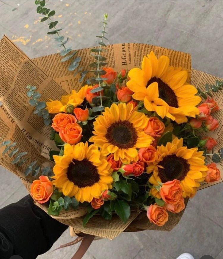 sunflowerchives's tweet photo. happy petals https://t.co/xVlwcpJDiV