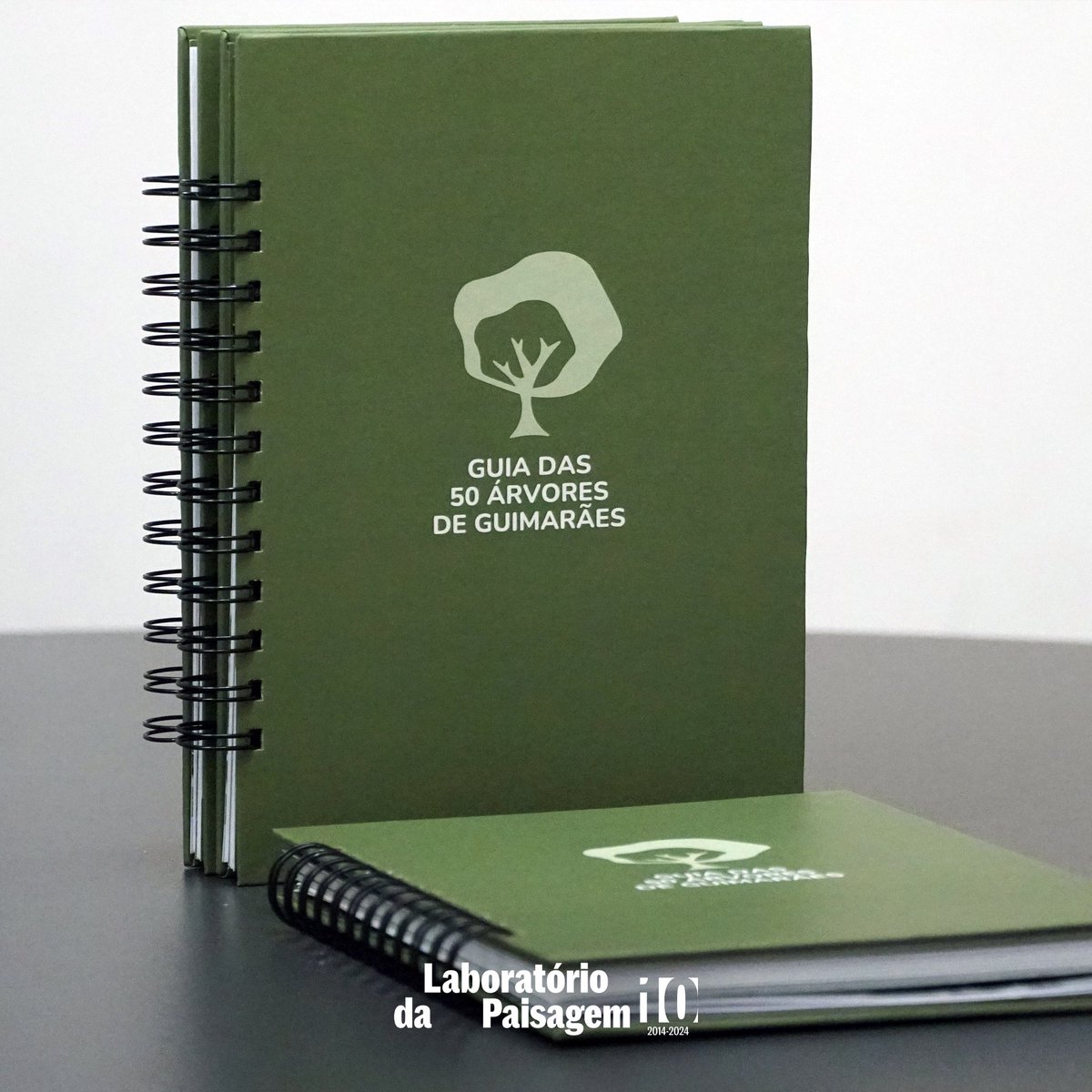labpaisagem's tweet photo. 🌳📘 Já disponível: 𝐆𝐮𝐢𝐚 𝐝𝐚𝐬 𝟓𝟎 𝐀́𝐫𝐯𝐨𝐫𝐞𝐬 𝐝𝐞 𝐆𝐮𝐢𝐦𝐚𝐫𝐚̃𝐞𝐬!

Descubra a riqueza do arvoredo urbano de Guimarães com a mais recente publicação do Laboratório da Paisagem. 
📖 𝑭𝙖𝒄̧𝙖 𝙤 𝙙𝒐𝙬𝒏𝙡𝒐𝙖𝒅 𝒈𝙧𝒂𝙩𝒖𝙞𝒕𝙤 𝙚𝒎 https://t.co/kQTswerVZz🌱 https://t.co/i7emKgLjNc