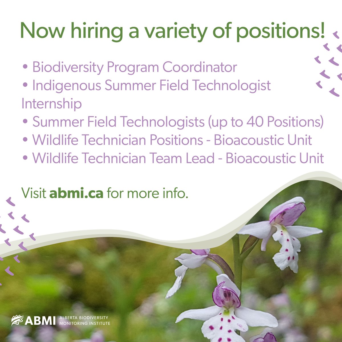 ABbiodiversity's tweet image. We are currently hiring for an exciting variety of positions. Make sure to visit the Careers and Opportunities page on our website for information about each, including deadlines and how to apply: abmi.ca/abmi-home/conn…
#NowHiring #AlbertaJobs