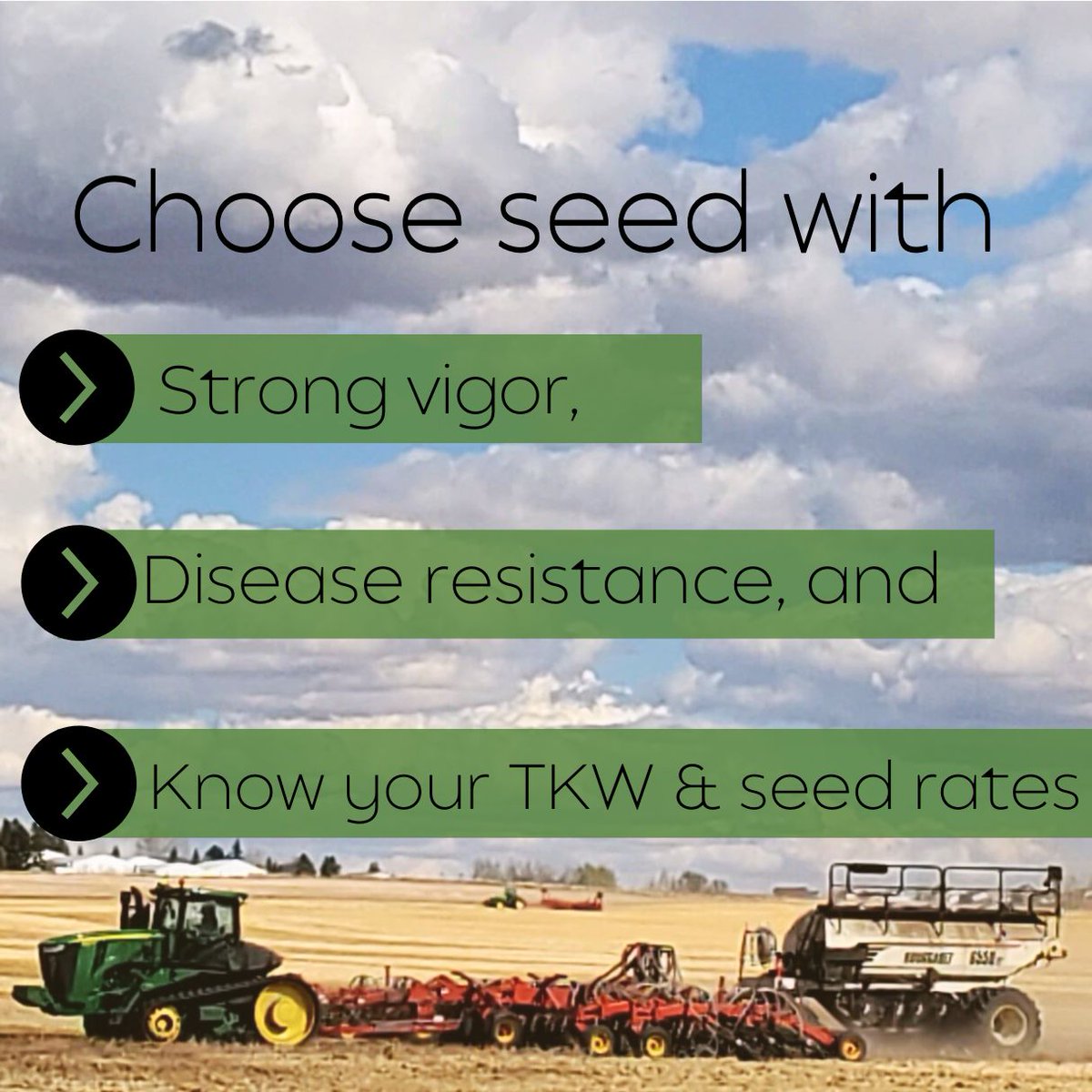 Spring is fast approaching! Here are some tips to maximize your return from your seed investment:

Choose seed with:
🌱 Strong vigor that allows you to have a strong start,
🌱 Disease resistance to give your crop the best chance of staying healthy,
🌱 A known TKW and seed it at