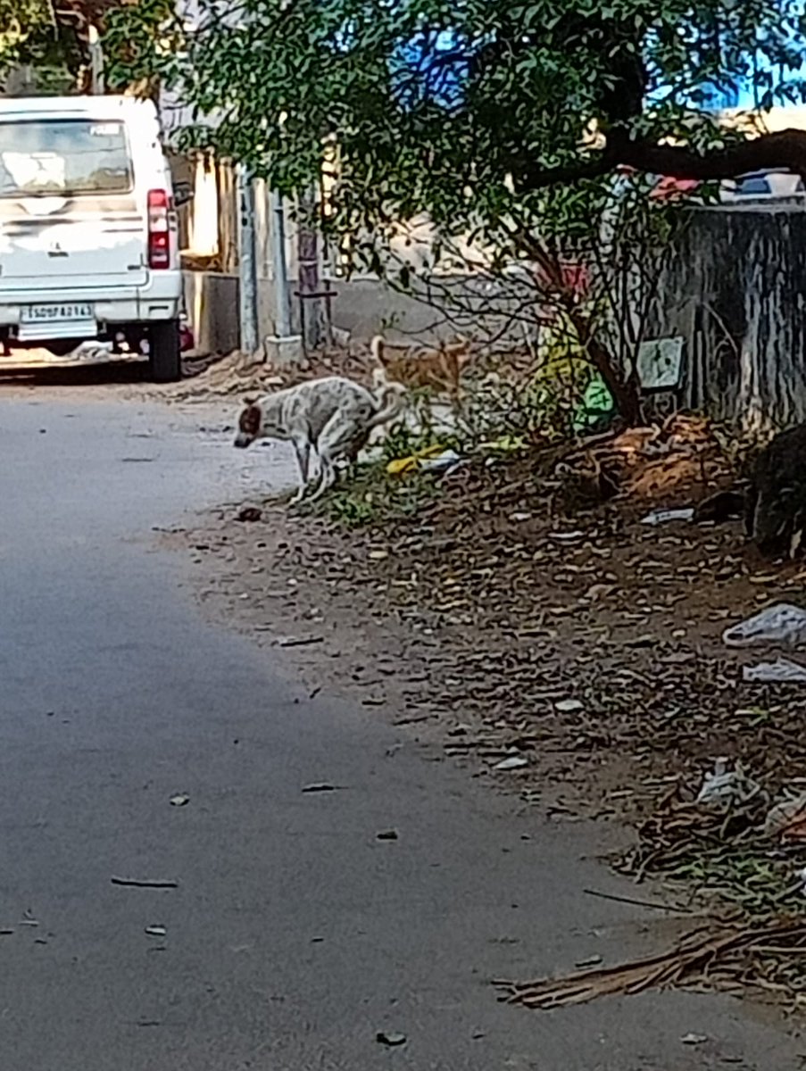 Sociallycommit's tweet photo. @GHMCOnline @CommissionrGHMC @ZC_LBNagar @ZC_Kothapet 
Sir entire colony is dumping garbage and waste materials near our house, making street as a dump yard, pls clear this and put notice. H no 1-6-47 &amp;1-6-17/A Babu complex Chaitanyapuri Dilsukhnagar, Hyderabad 500060 https://t.co/scezE3W5d6