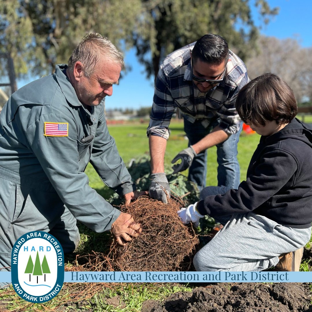 H.A.R.D. tweet media