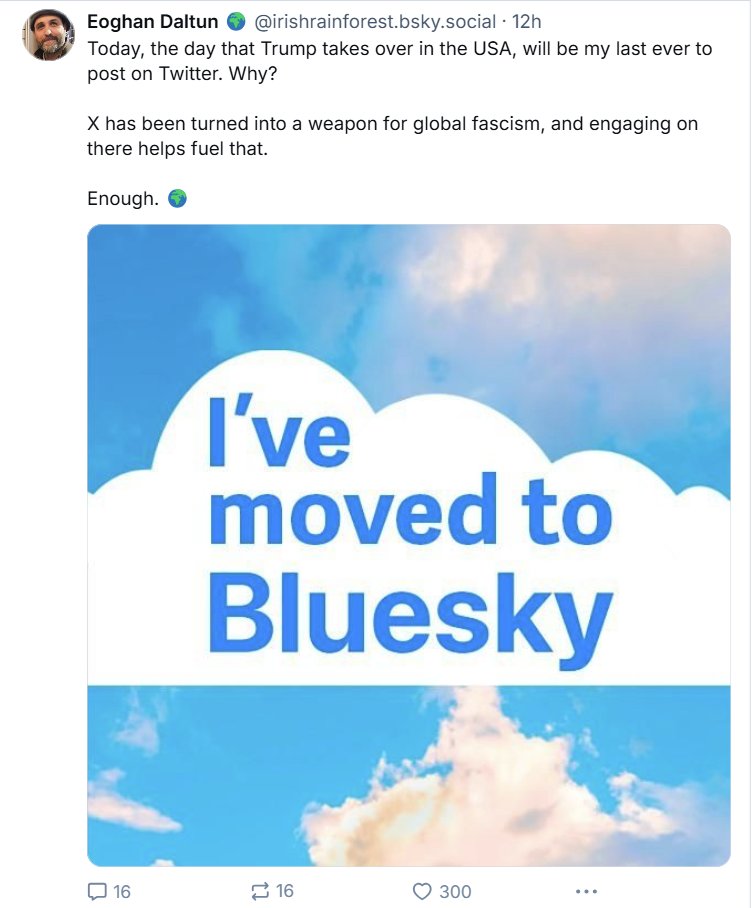 Annie Leymarie (@annieleymarie) on Twitter photo 