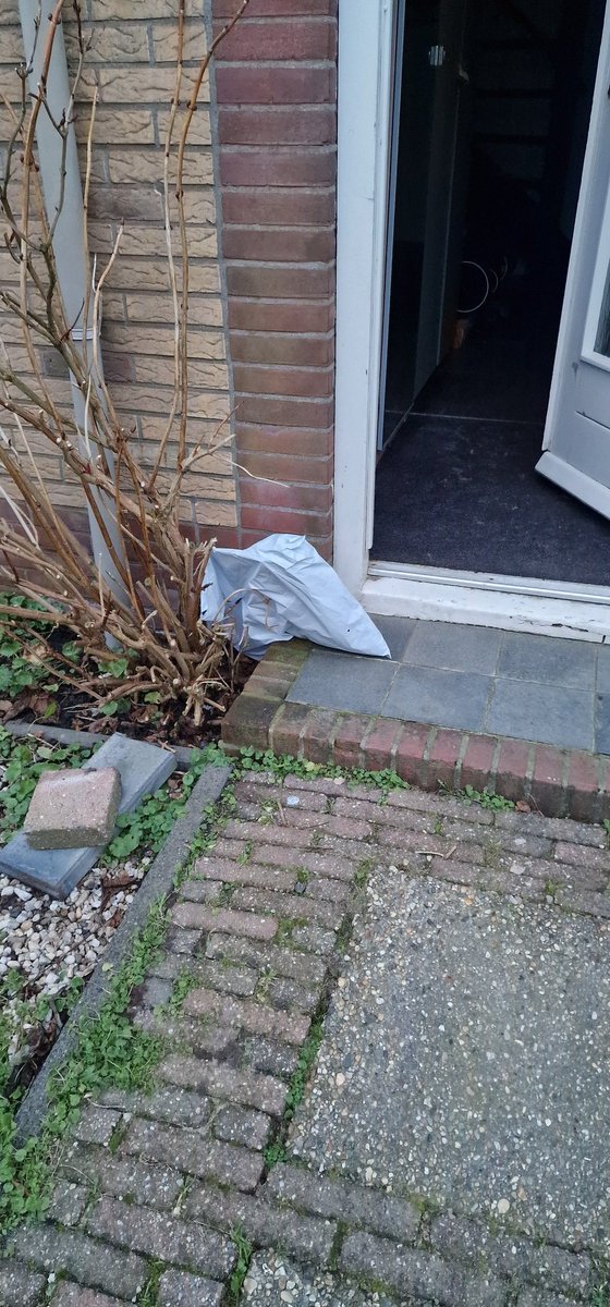 Maurice de Roos tweet media