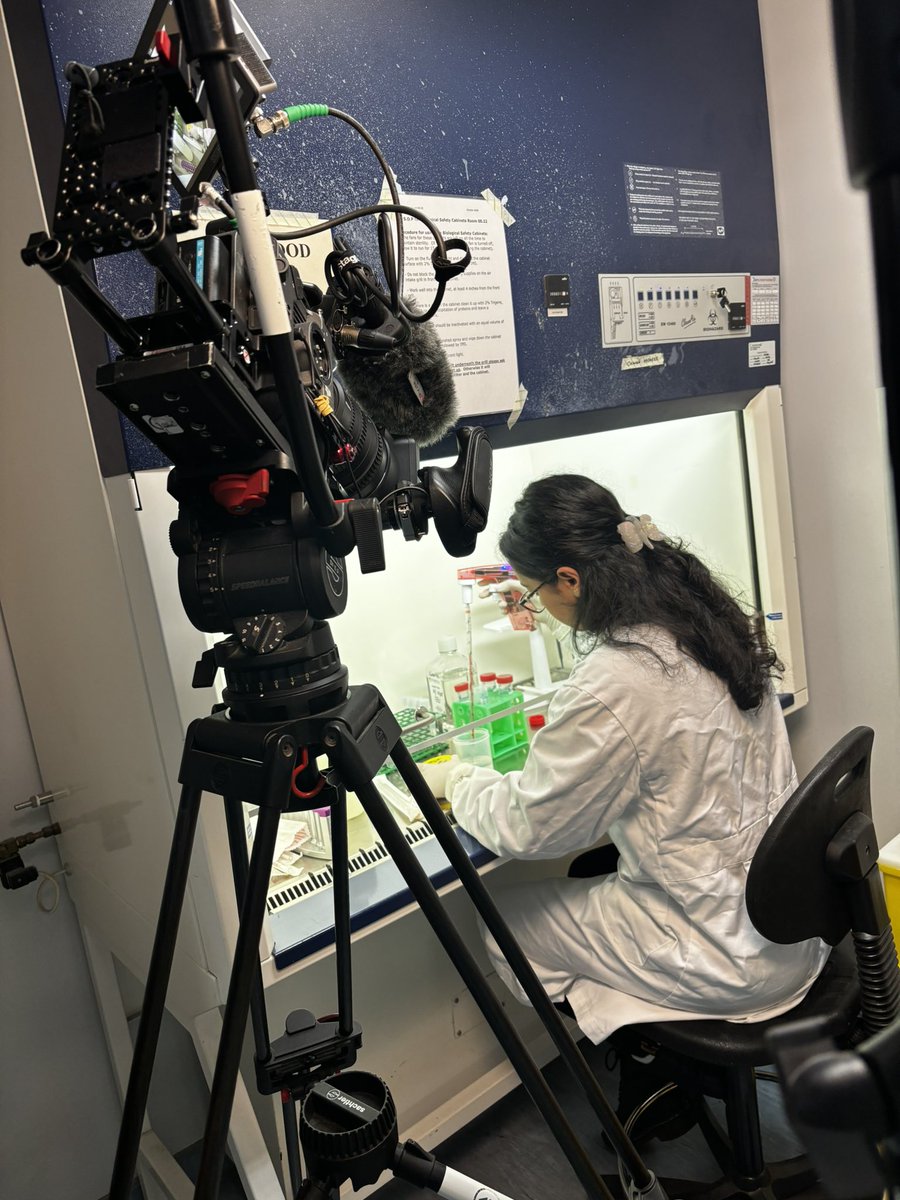 GinaLeisching's tweet image. Filming for @JoVEJournal today! A protocol for the isolation of #lowdensityneutrophils and #normaldensityneutrophils from whole blood!
