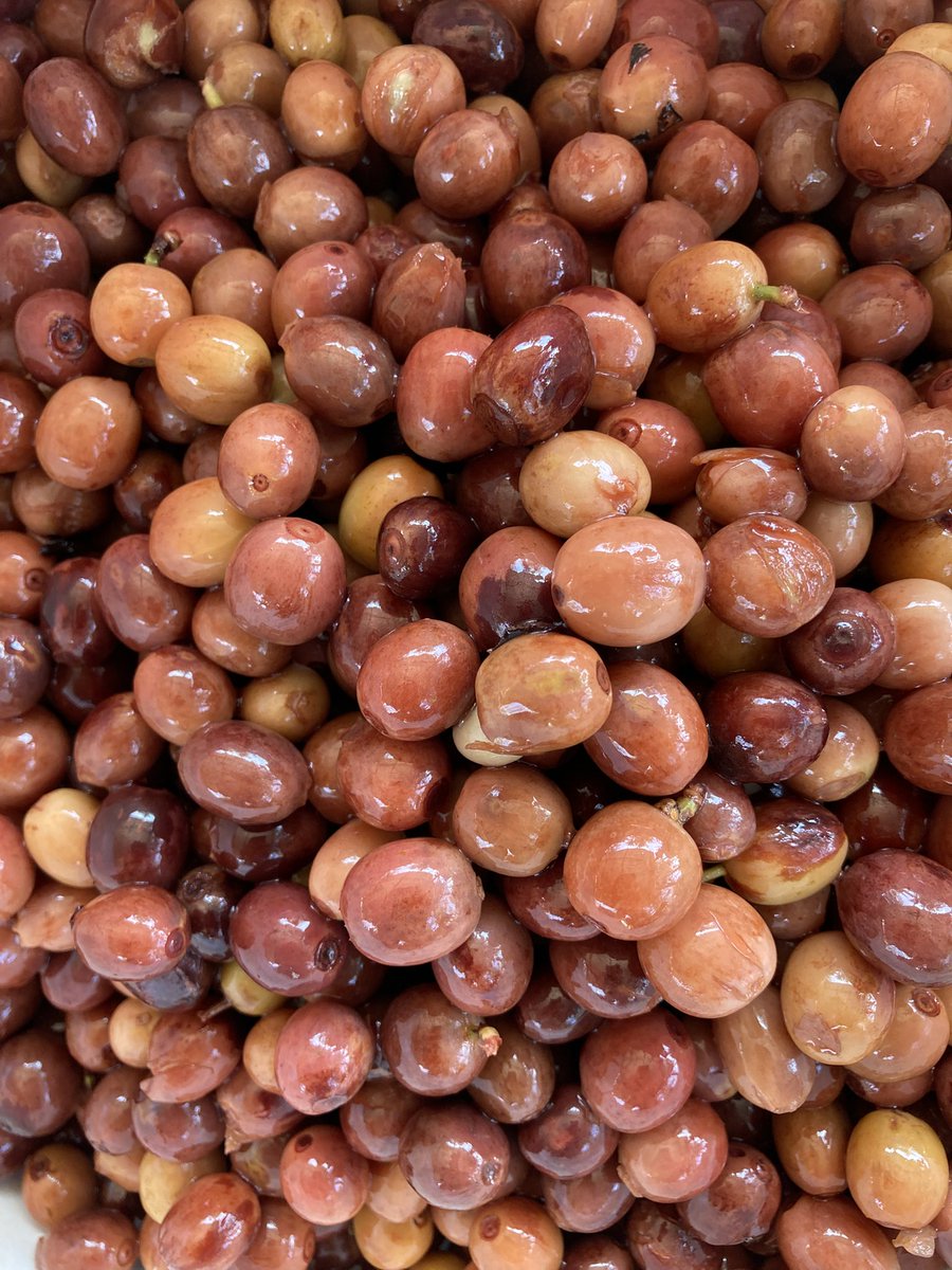 JacintoVallarta's tweet photo. Hay cafecito disponible. 

-Proceso lavado
-Proceso enmielado 
-Proceso natural

Soy pequeño productor de café mexicano. 

Y también puedo ser tu dealer de café. 

Pedidos e información por mensaje. https://t.co/We5adnya0z