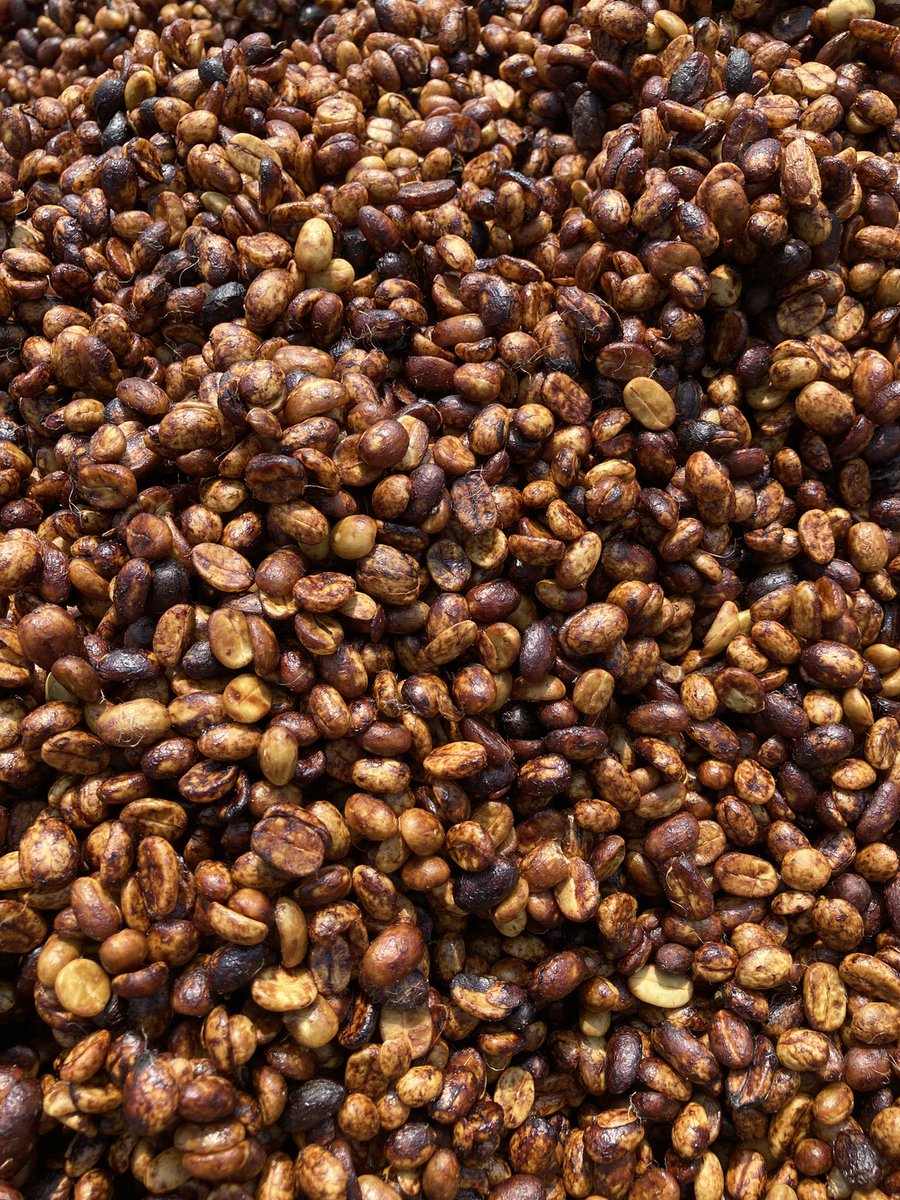 JacintoVallarta's tweet photo. Hay cafecito disponible. 

-Proceso lavado
-Proceso enmielado 
-Proceso natural

Soy pequeño productor de café mexicano. 

Y también puedo ser tu dealer de café. 

Pedidos e información por mensaje. https://t.co/We5adnya0z