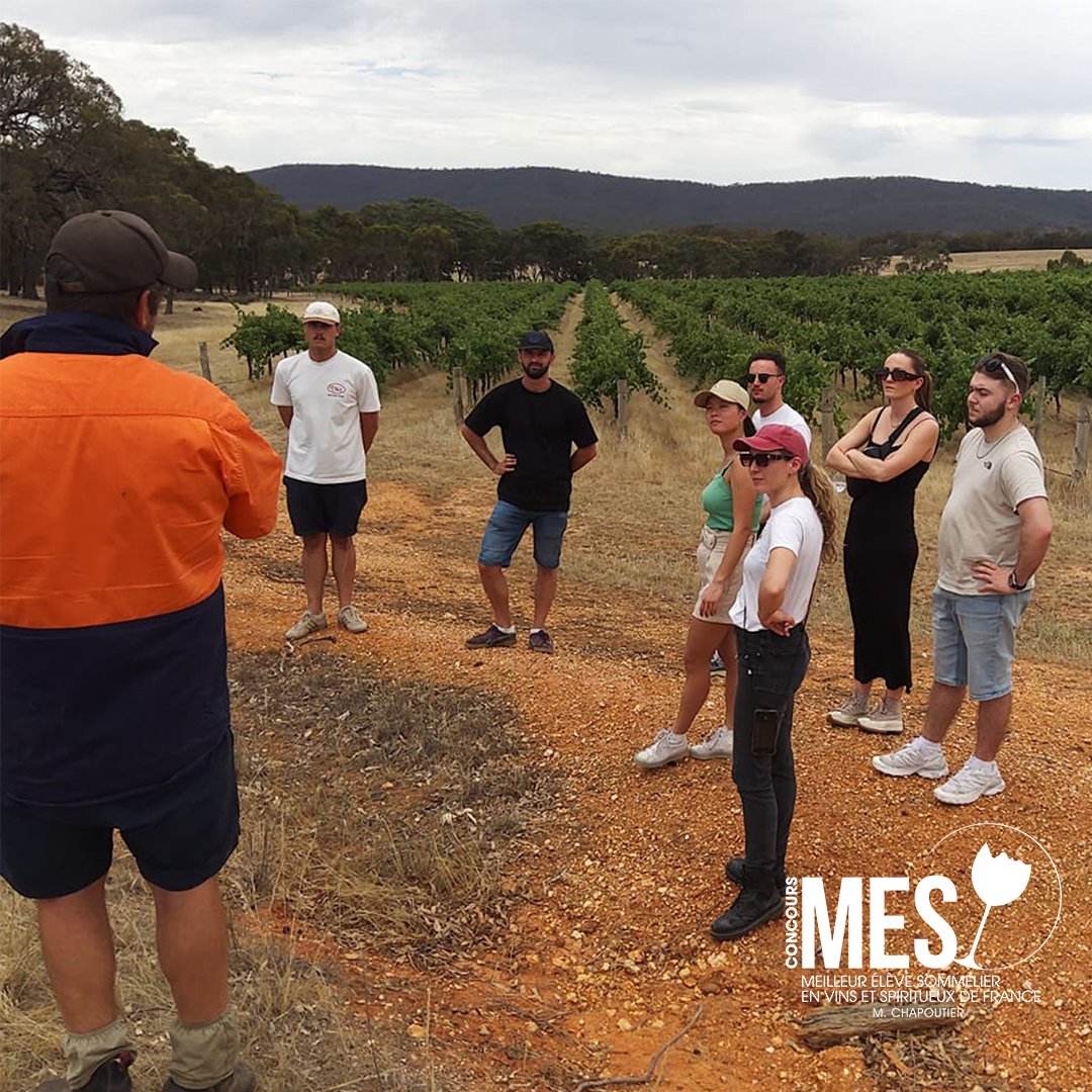 Maison M. CHAPOUTIER tweet media