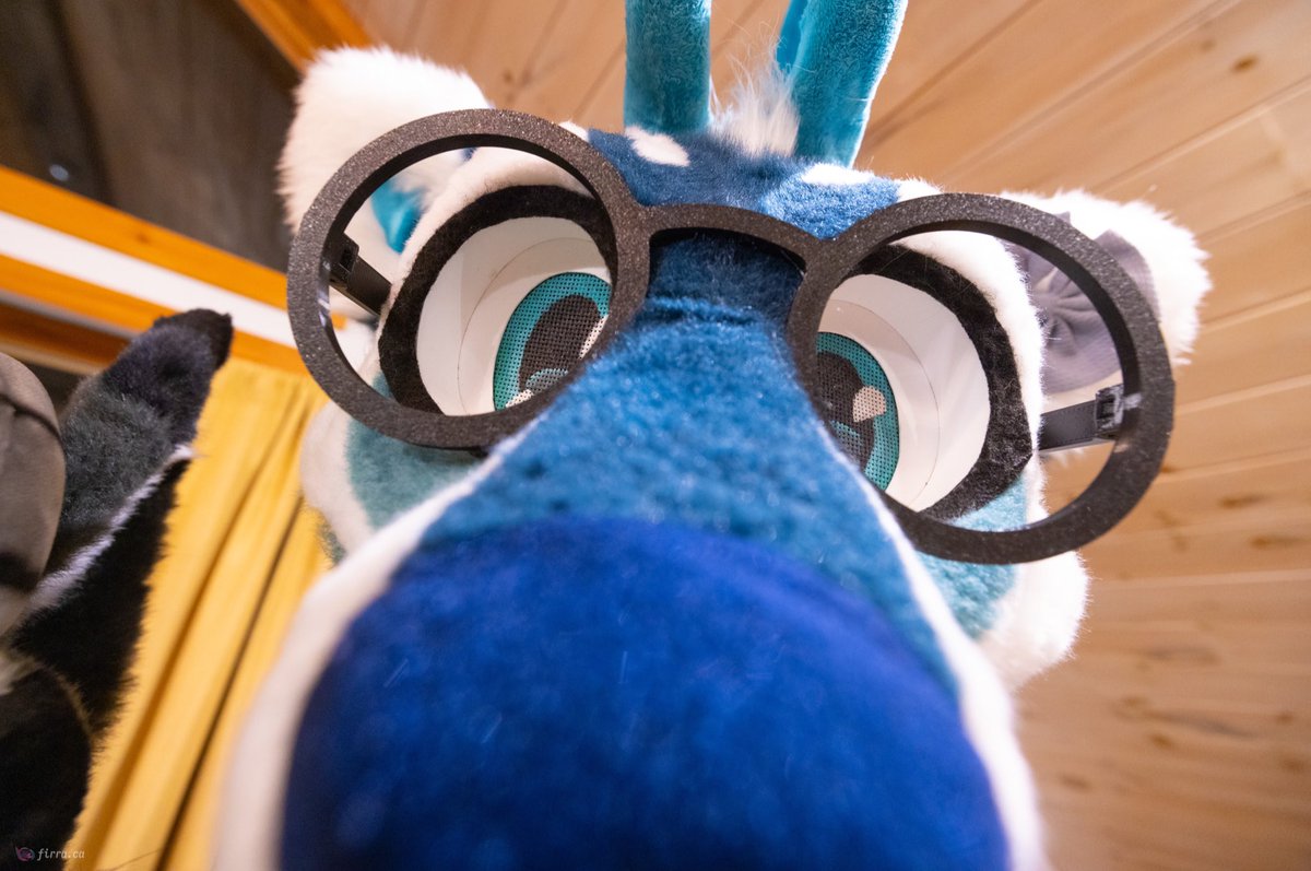 I’m gonna heccin sniff snoof you! :p 
.
📸<a href="/FirraWoof/">Firra</a>