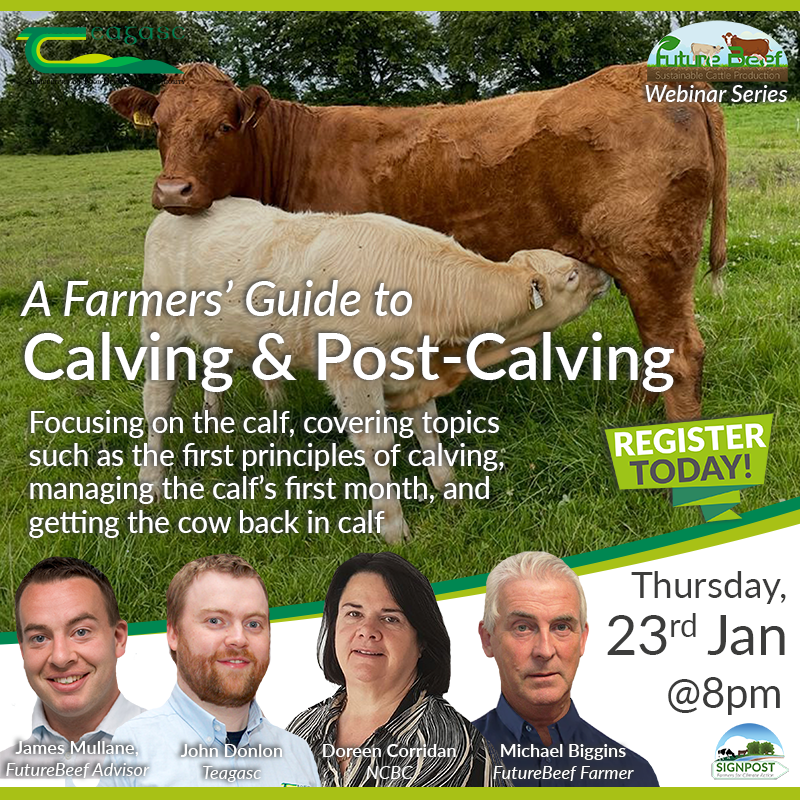 Join us online this Thursday, 23 January at 8pm for a #FutureBeef Webinar which will focus on Calving &amp; Post-Calving Management. 
Register here bit.ly/3QJyg3L
<a href="/TeagascBeef/">Teagasc Beef</a>