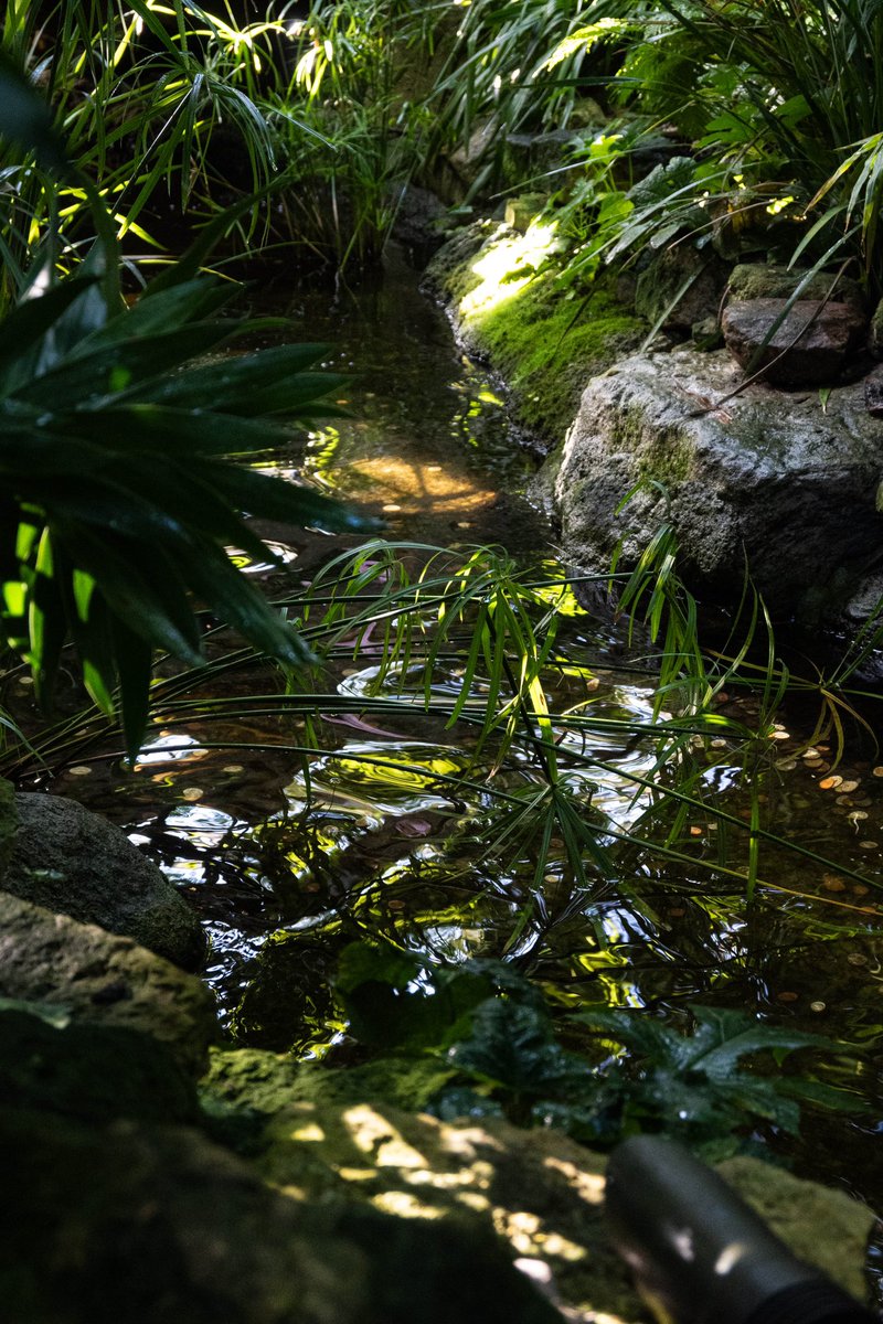 thislilalien's tweet image. Olbrich 🥰