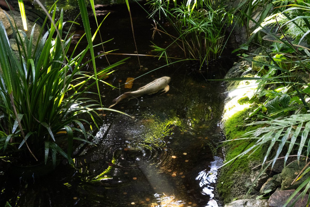 thislilalien's tweet image. Olbrich 🥰