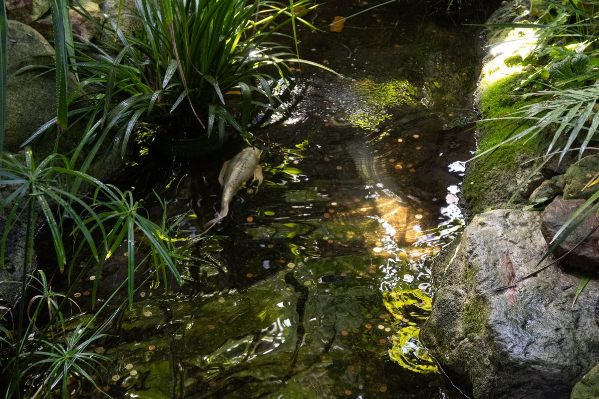 thislilalien's tweet image. Olbrich 🥰