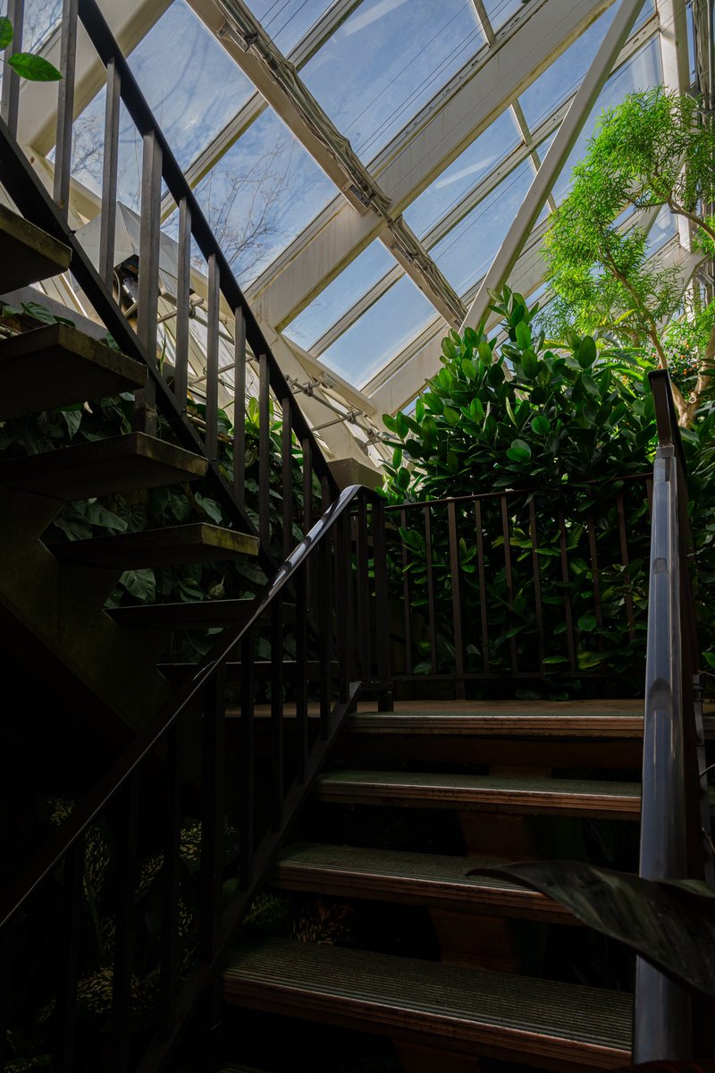 thislilalien's tweet image. Olbrich 🥰