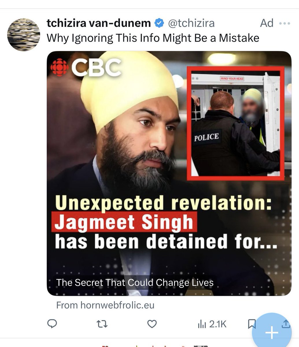 prashvirus's tweet photo. @MatinaStevis foreign interference https://t.co/WnFstA2SvV