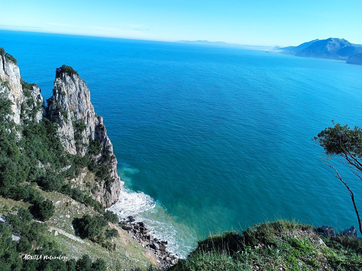 Este es nuestro #bluemonday