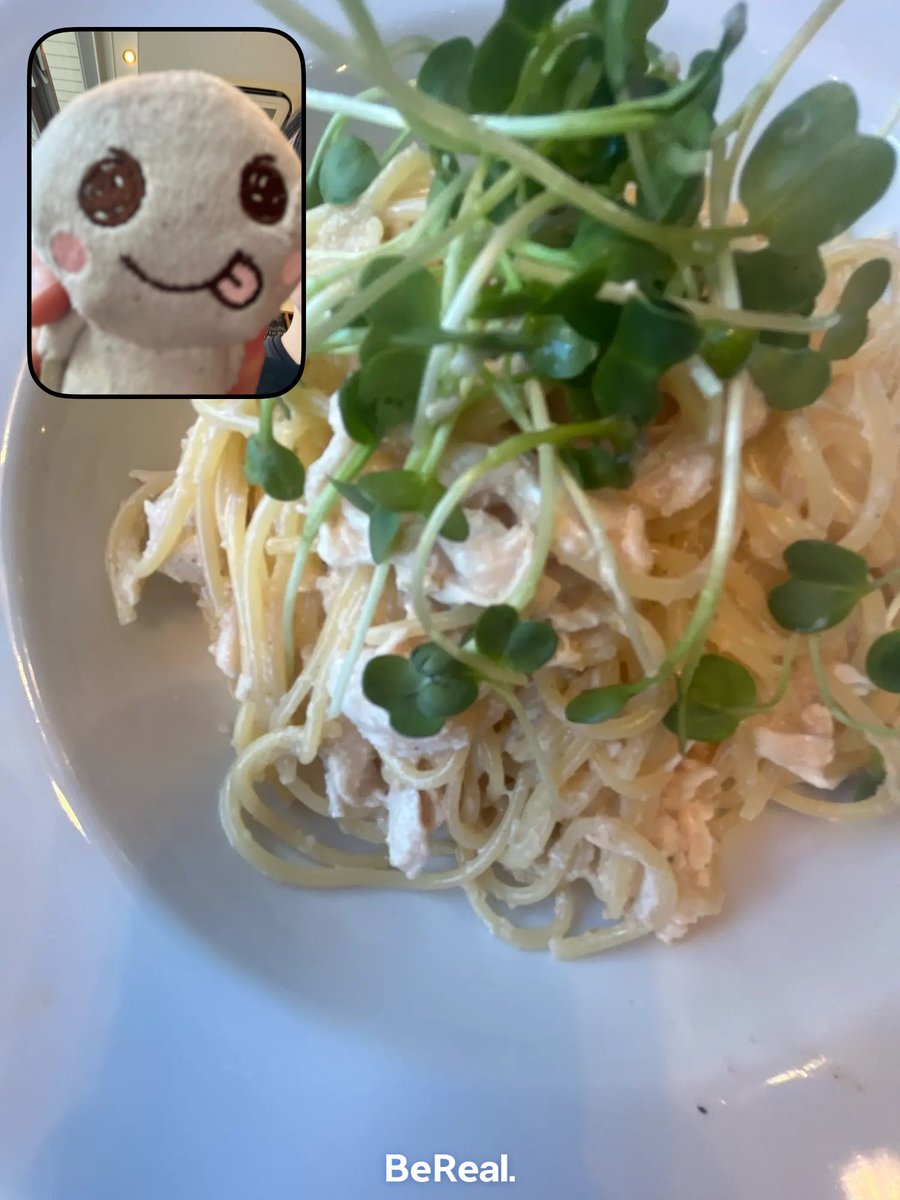 pierreryesk's tweet photo. 友達が彼氏にビーリアル乗っ取られてる中意味のわからない石モチーフのキャラクターに乗っ取られるわたしのビーリアルだいぶリアル https://t.co/F4mRFKAPdx