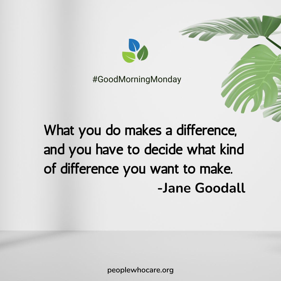 #goodmorningmonday 

What you do makes a difference, and you have to decide what kind of difference you want to make. -Jane Goodall

Have a good week!