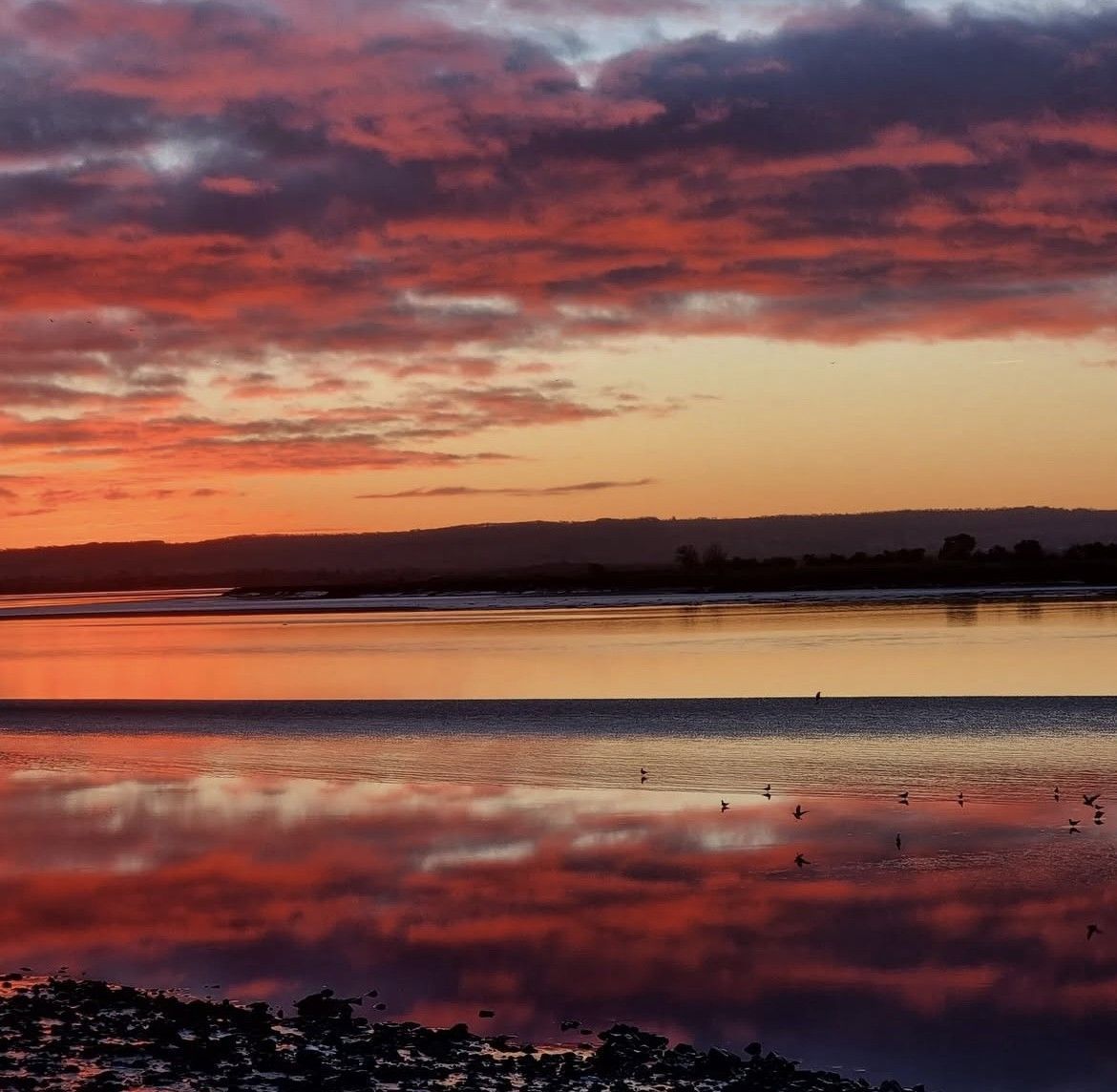 We are pleased to announce the winner of our Photo of the Year competition is Sarah Whittle, with this gorgeous photo of a sunrise over the Severn, taken at Arlingham last January. Thanks again to everyone who entered their lovely photos from around the estuary! 📸