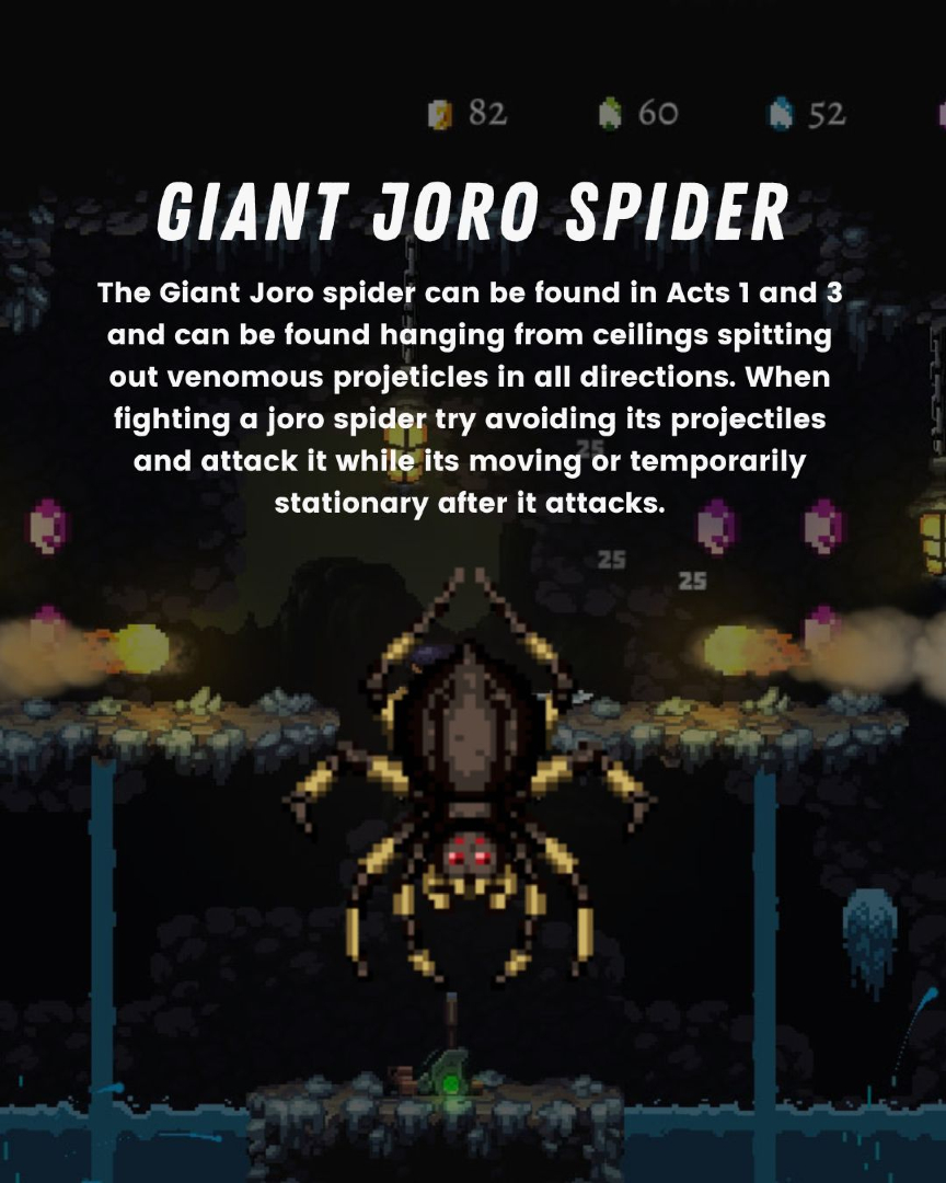 Dolores Entertainment tweet media